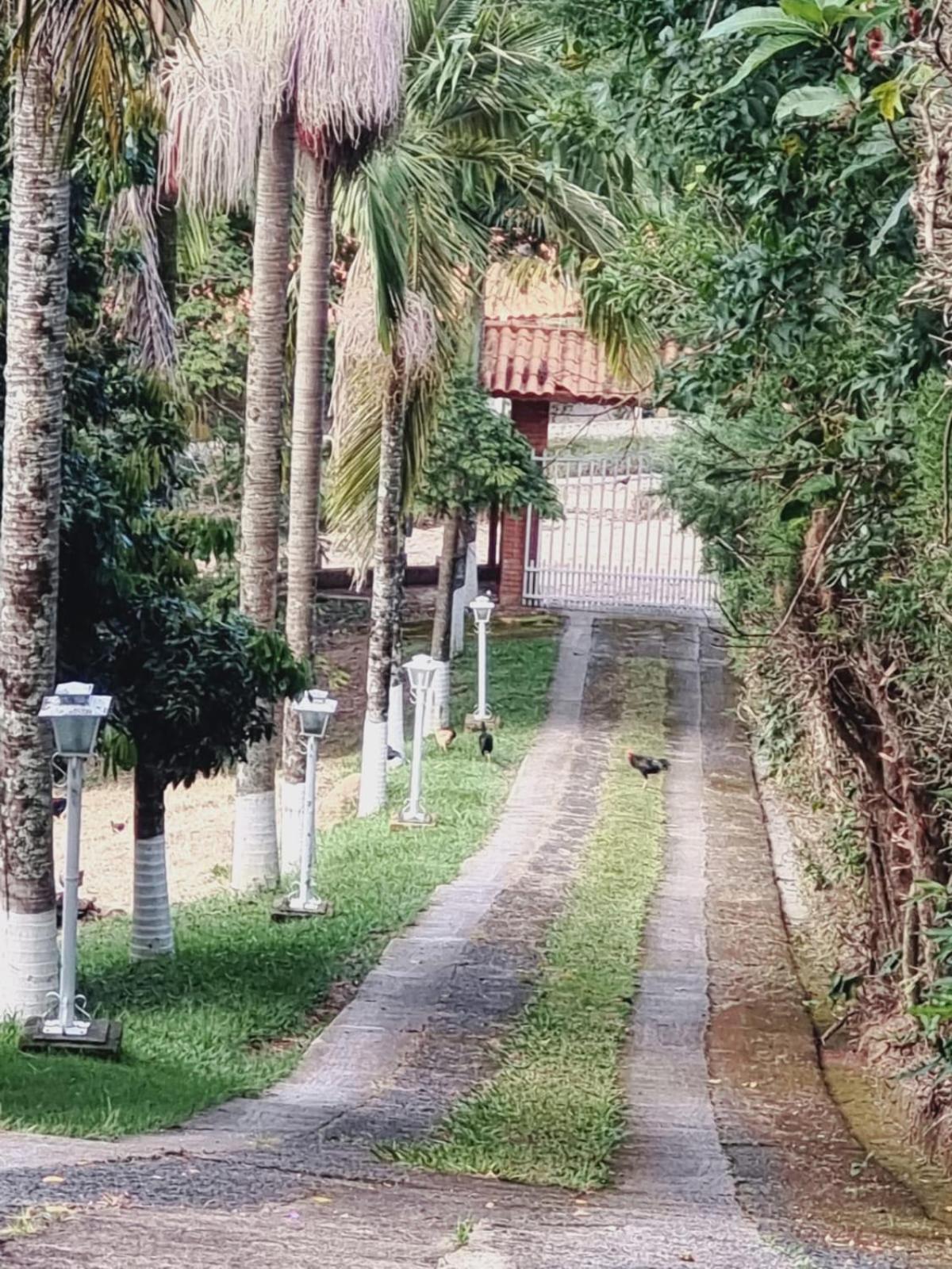 Chacara Recanto Do Morro Holiday home